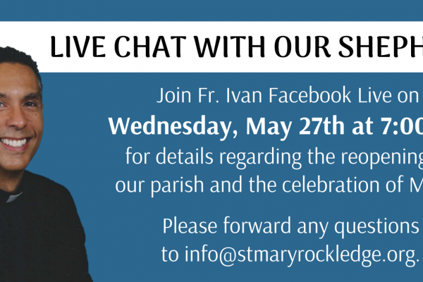 Live Chat with Our Shepherd