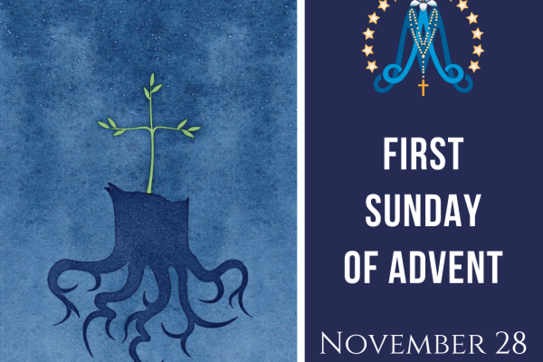 First Sunday of Advent