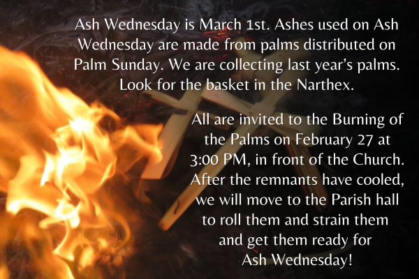 Palms to Ashes