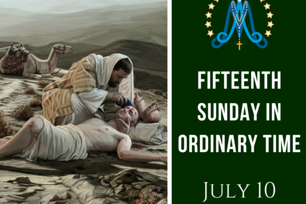 Fifteenth Sunday in Ordinary Time